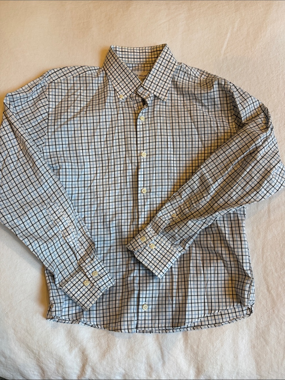 Classic Men's Button-Down Check Shirt in Light Blue and White
